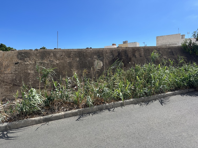 Instituto Nacional de Colonización