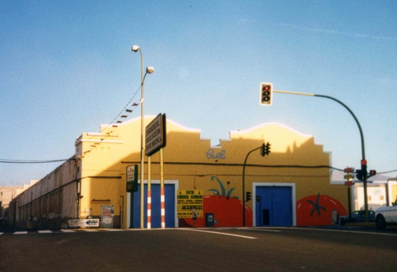 Comercial Importadora Exportadora Limitada (CIEL)