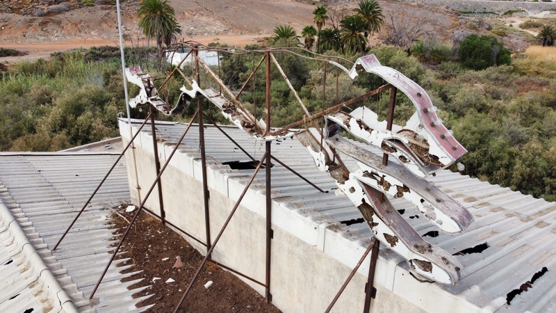 Galgo gigante - Canódromo Gran Canaria