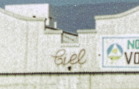 Comercial Importadora Exportadora Limitada (CIEL)