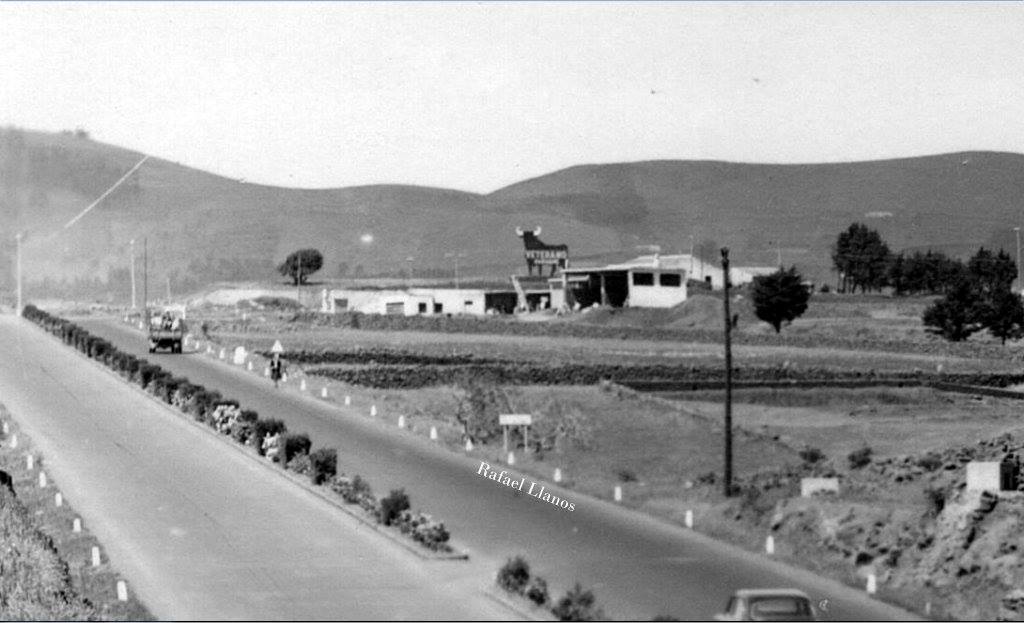 Toro de Osborne (10)
