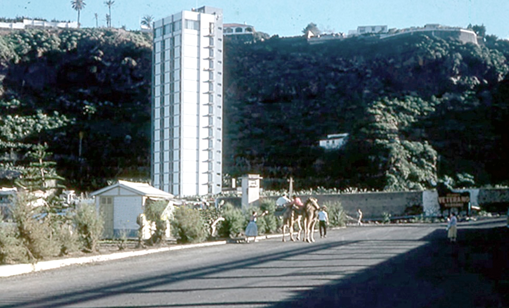 Toro de Osborne (11)