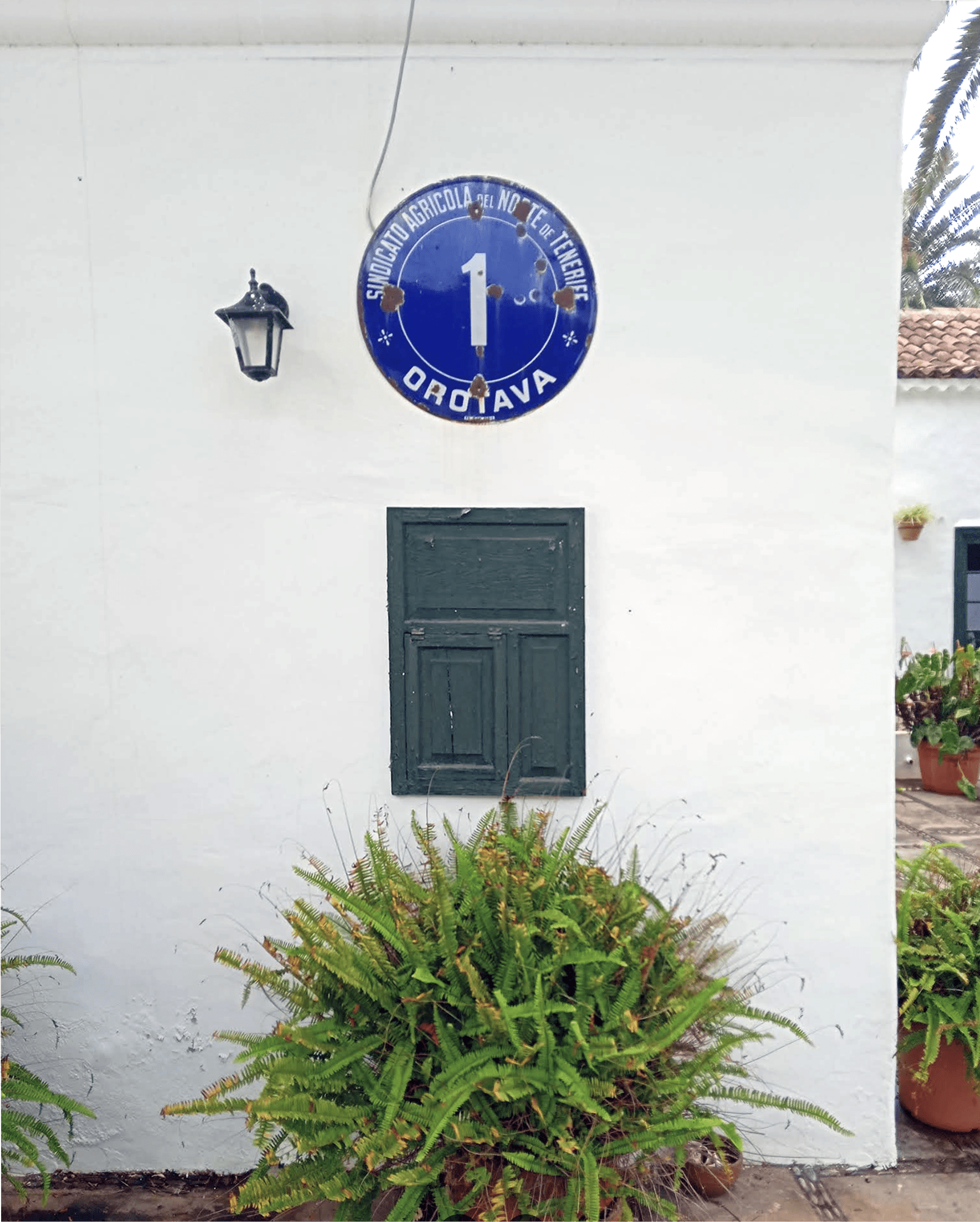 Sindicato Agrícola del Norte de Tenerife 1