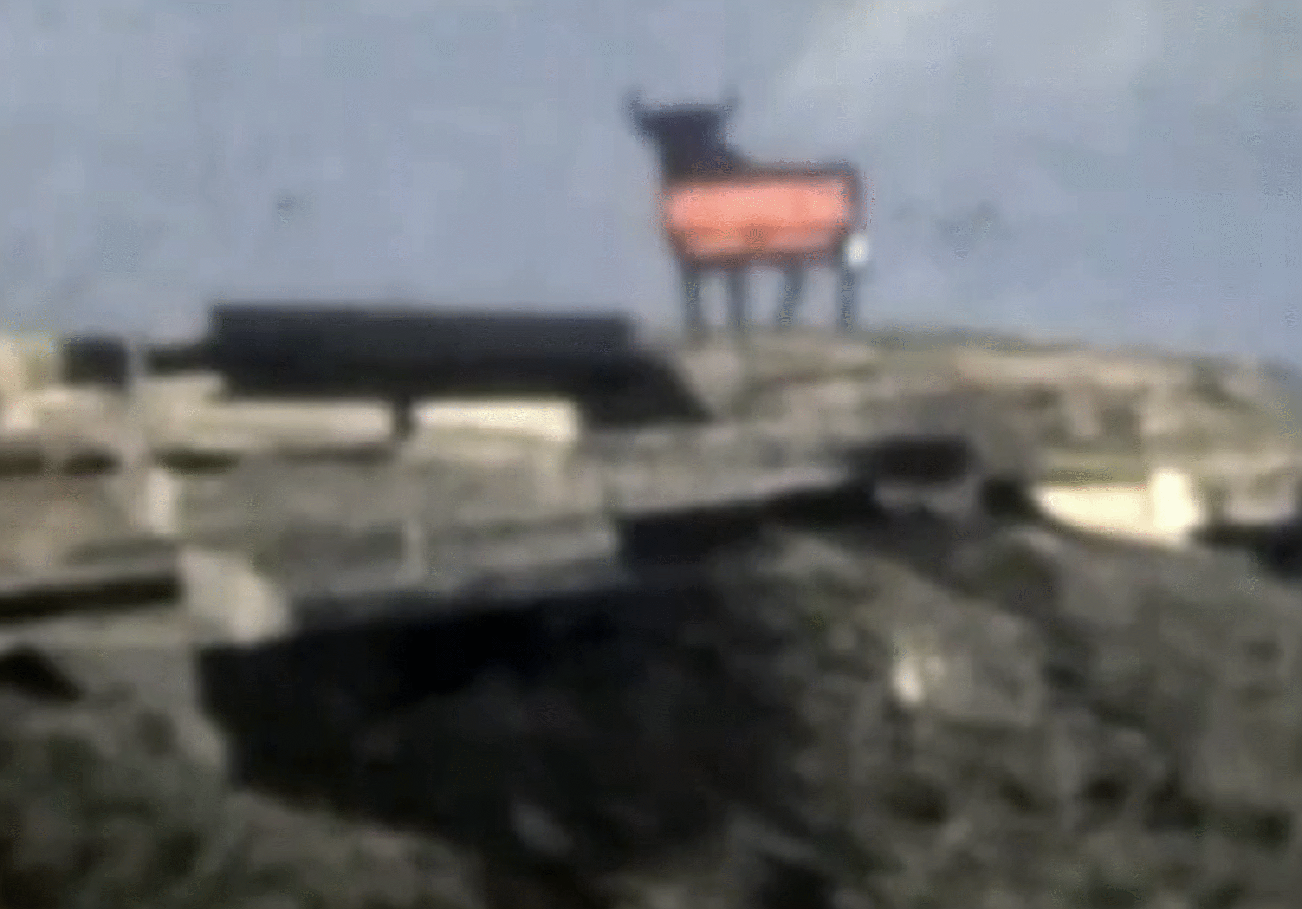 Toro de Osborne (12)