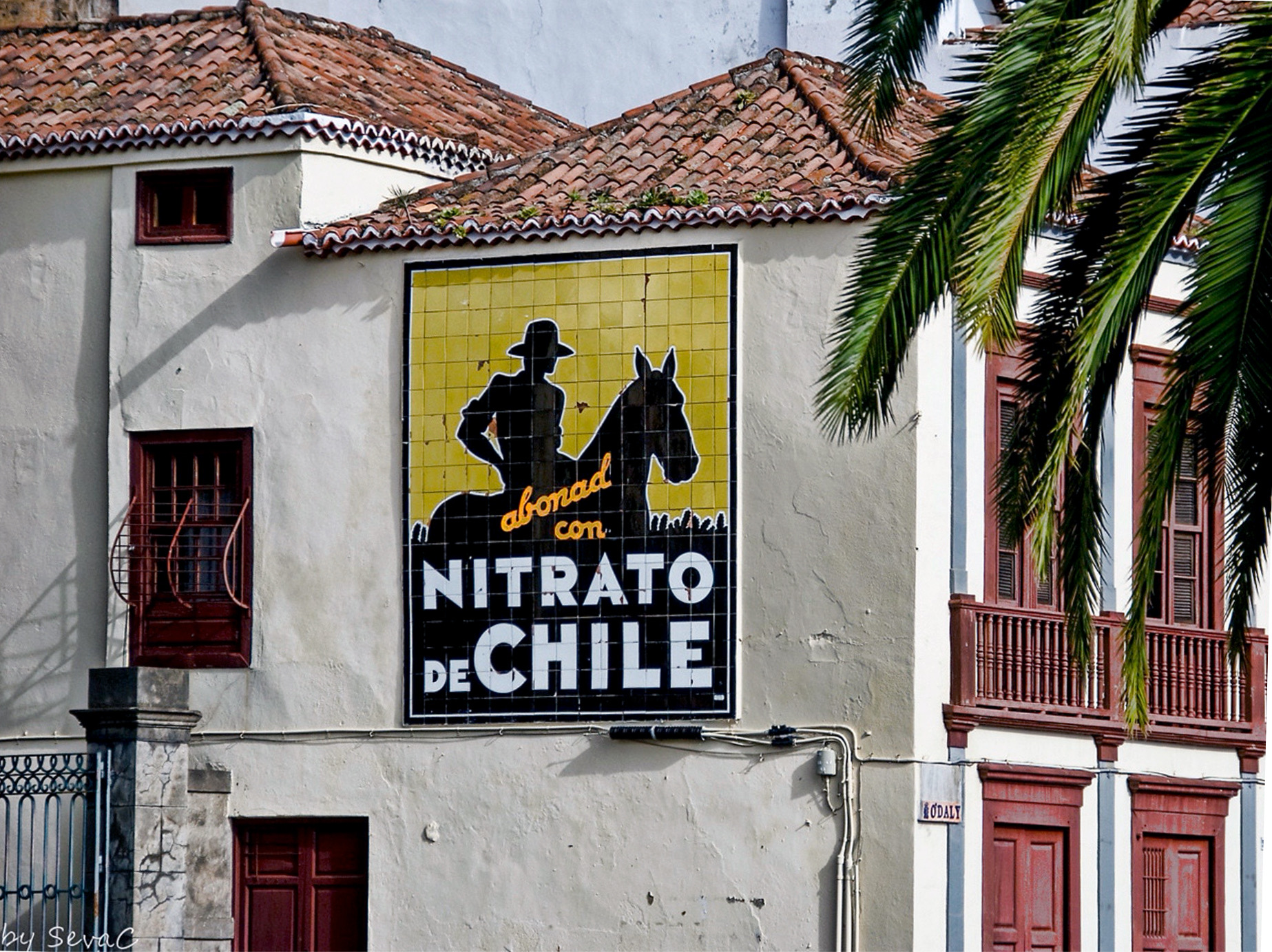 Nitrato de Chile (3)