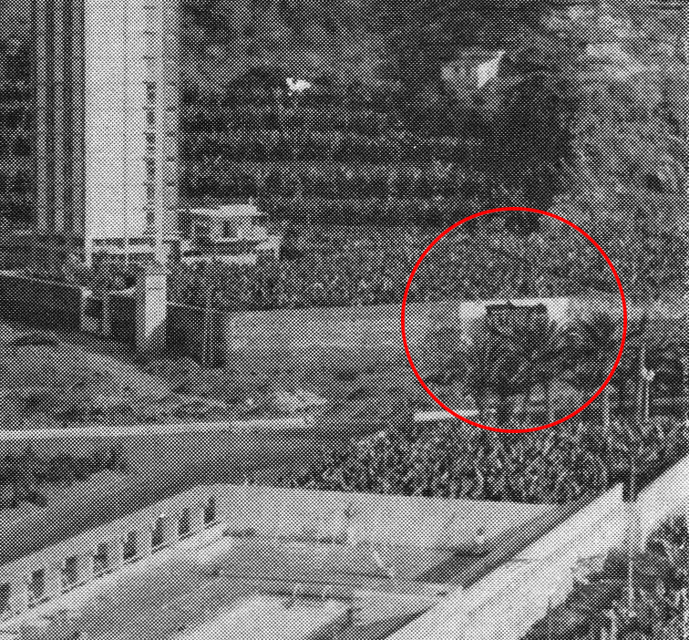 Toro de Osborne (11)