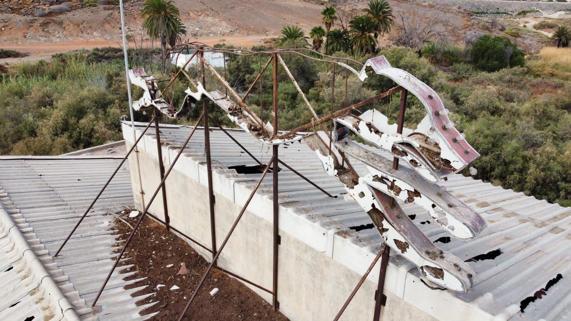 Galgo gigante - Canódromo Gran Canaria