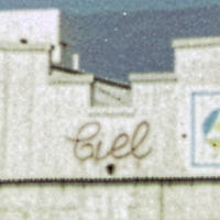 Comercial Importadora Exportadora Limitada (CIEL)