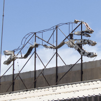 Galgo gigante - Canódromo Gran Canaria