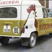 Los vehículos rotulados por Juan el Petudo