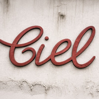 Comercial Importadora Exportadora Limitada (CIEL)