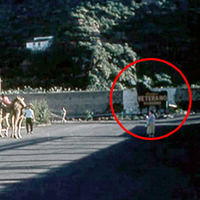 Toro de Osborne (11)