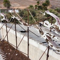 Galgo gigante - Canódromo Gran Canaria