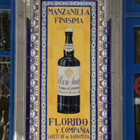 Federico Paternina / Florido y Compañía